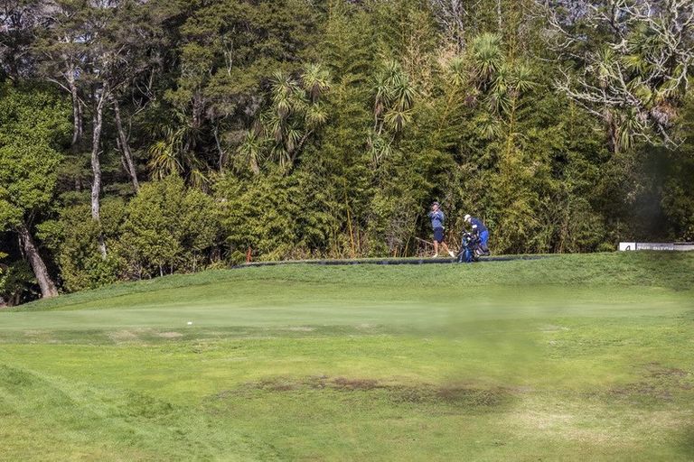 Photo of property in 3/8 Golf Road, New Lynn, Auckland, 0600