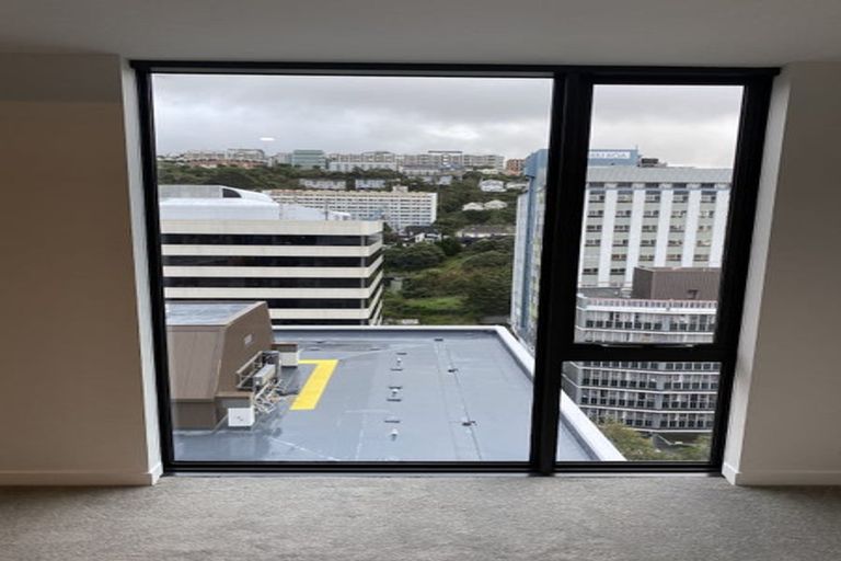 Photo of property in Pinnacle On Victoria, 160 Victoria Street, Te Aro, Wellington, 6011