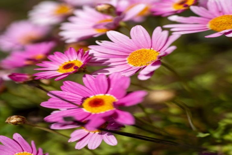 Photo of property in 5 Princes Street, Cambridge, 3434