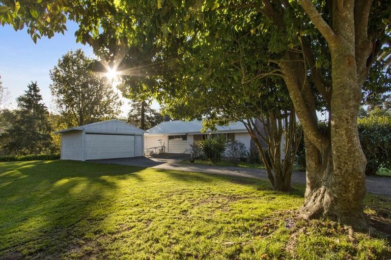 Photo of property in 217 Golden Valley Road, Waihi, 3681