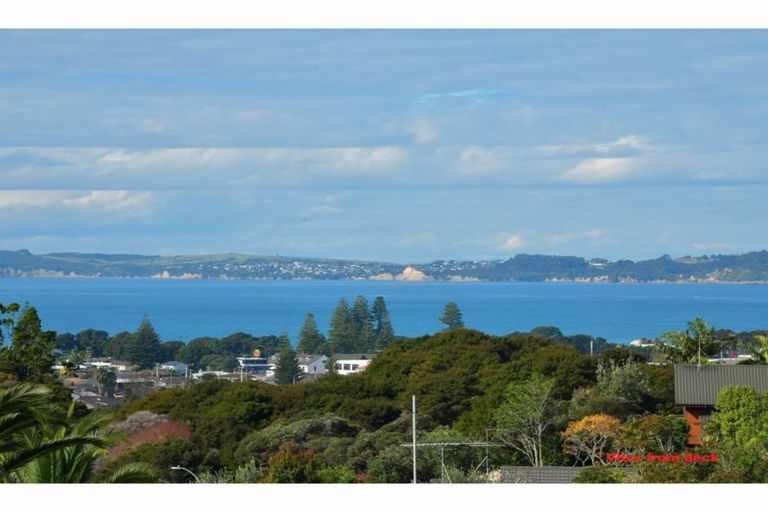 Photo of property in 4 Astor Place, Orewa, 0931