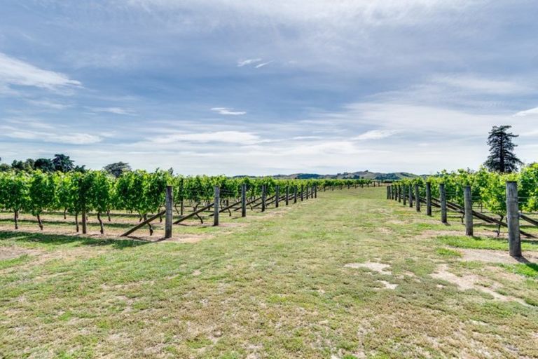 Photo of property in 275 Te Mata Road, Havelock North, 4294