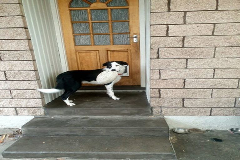 Photo of property in 8 Reid Street, Blaketown, Greymouth, 7805