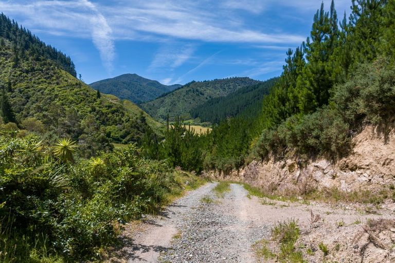 Photo of property in 785 Waikakaho Road, Tuamarina, Blenheim, 7273