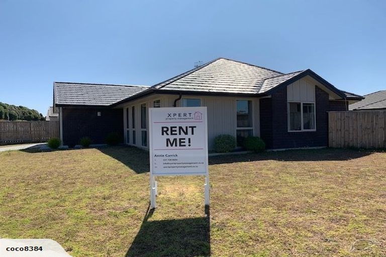 Photo of property in 4 Lakeside Terrace, Omokoroa, 3114