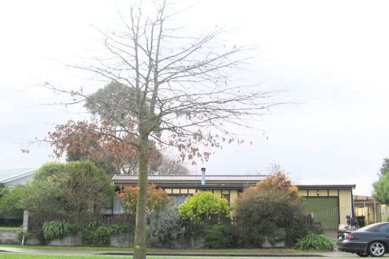Photo of property in 230 Flaxmere Avenue, Flaxmere, Hastings, 4120