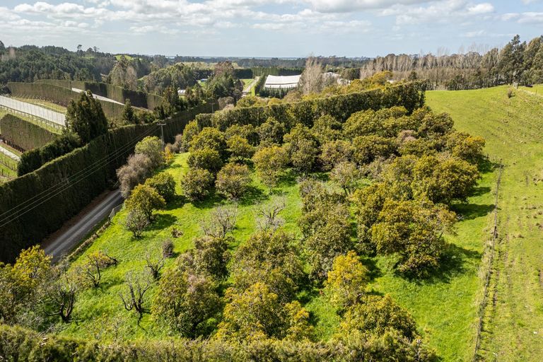 Photo of property in 231 Walford Road, Aongatete, Katikati, 3181