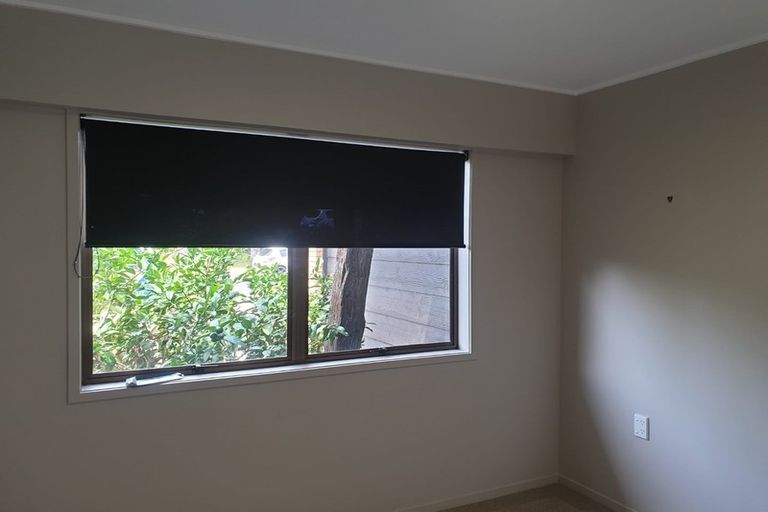 Photo of property in 4 Leonard Place, Dinsdale, Hamilton, 3204