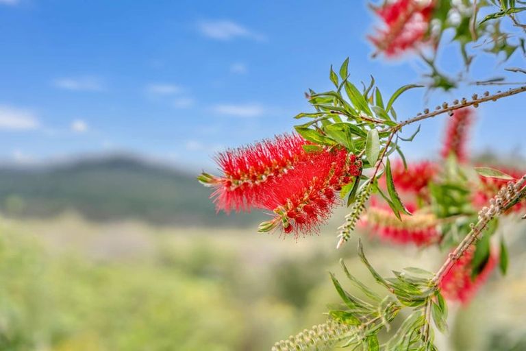 Photo of property in 661 Waihue Road, Parore, Dargaville, 0372