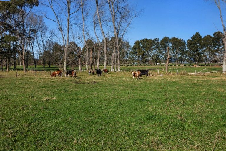 Photo of property in 54 Lewis Road, Otakiri, Whakatane, 3193