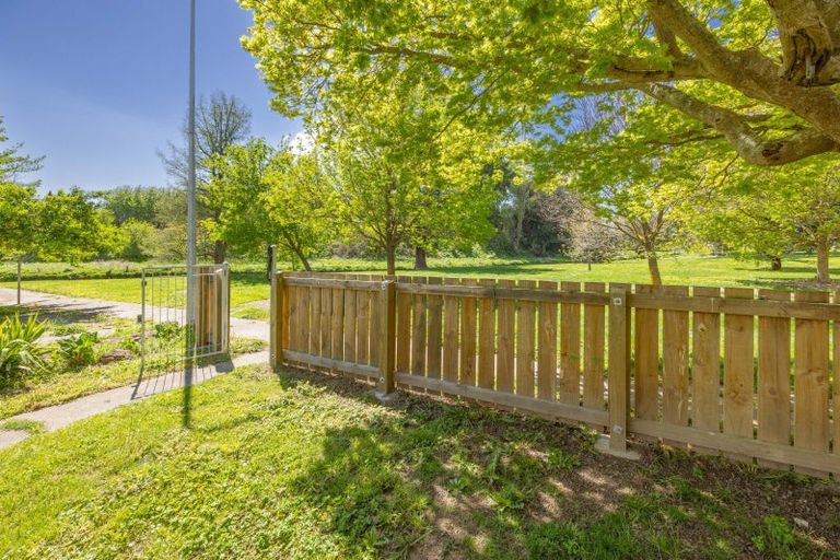 Photo of property in 8 Panckhurst Street, Havelock North, 4130