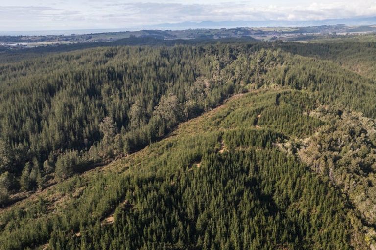 Photo of property in 441 Waiwhero Road, Ngatimoti, Upper Moutere, 7175