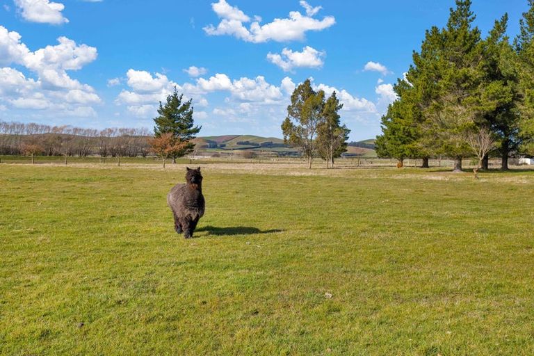 Photo of property in 135 Bentleys Road, Hawarden, 7385