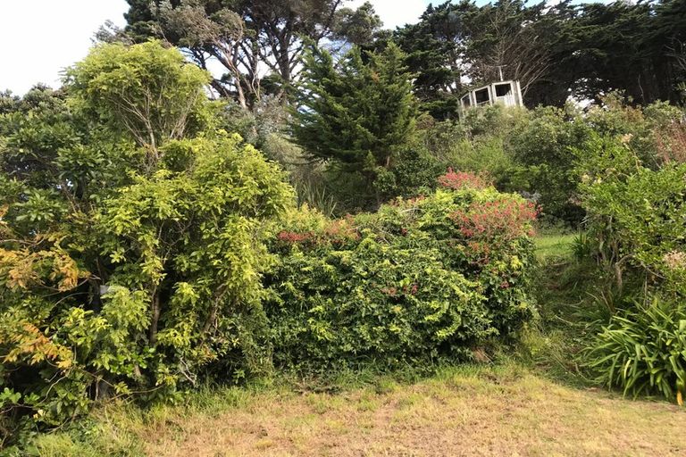 Photo of property in 18 Colville Street, Newtown, Wellington, 6021