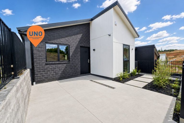 Photo of property in 38 Oopunga Road, Pukekohe, 2120