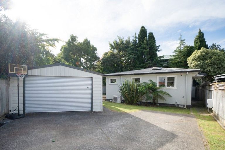 Photo of property in 4a Freyberg Street, Roslyn, Palmerston North, 4414