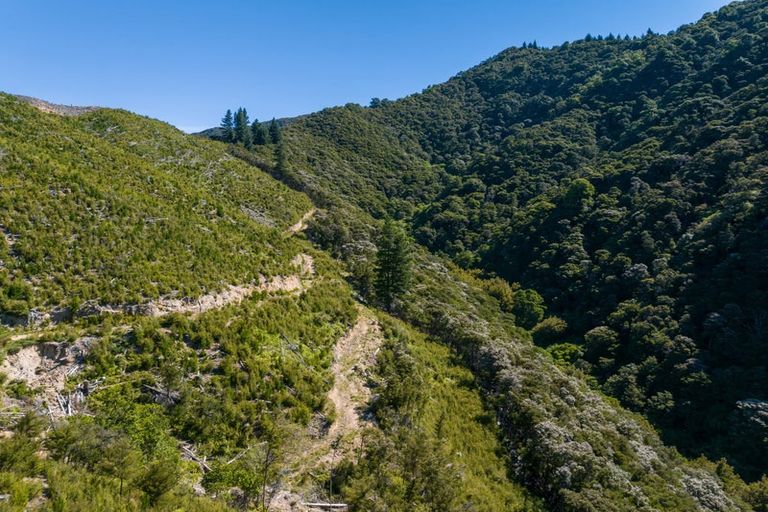 Photo of property in 785 Waikakaho Road, Tuamarina, Blenheim, 7273