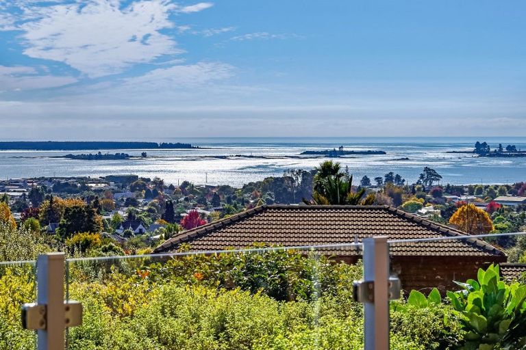 Photo of property in 10 George Kidd Street, Richmond, 7020