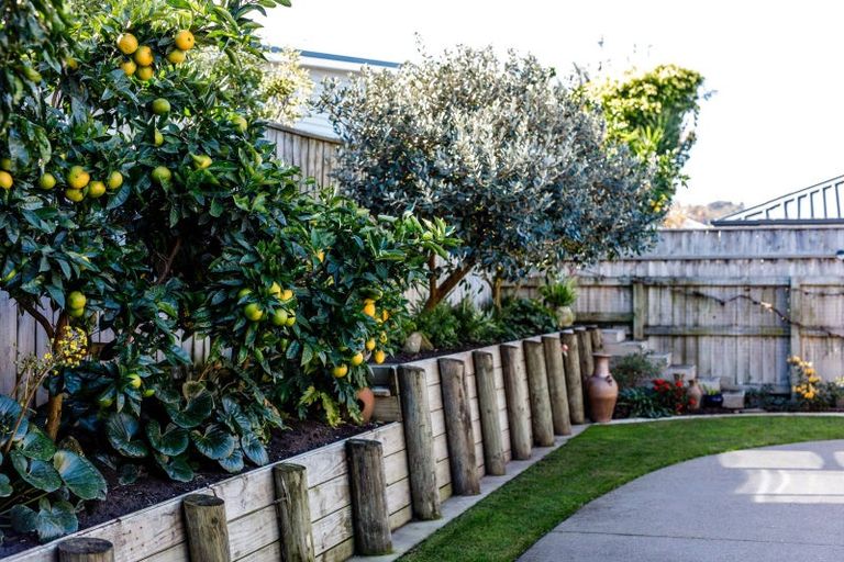 Photo of property in 13 Banksia Lane, Whakatane, 3120