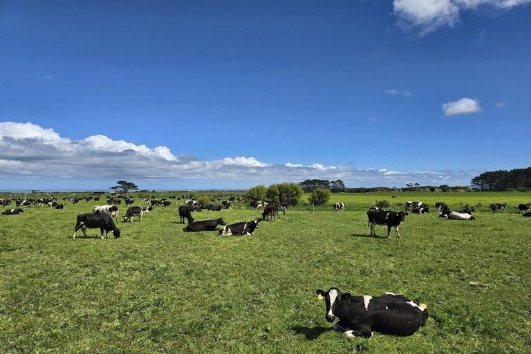 Photo of property in 189 Namu Road, Opunake, 4681