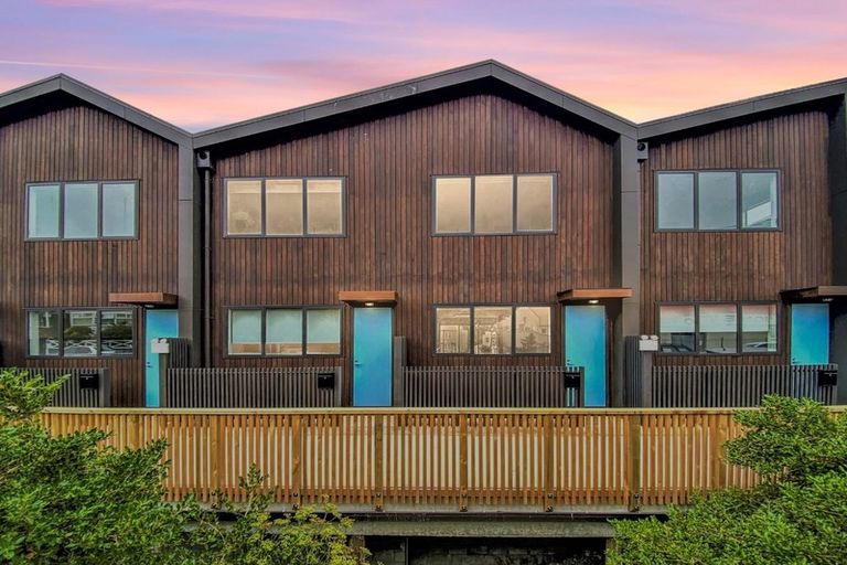 Photo of property in Aniva Terrace, 30 Ferguson Street, Newtown, Wellington, 6021