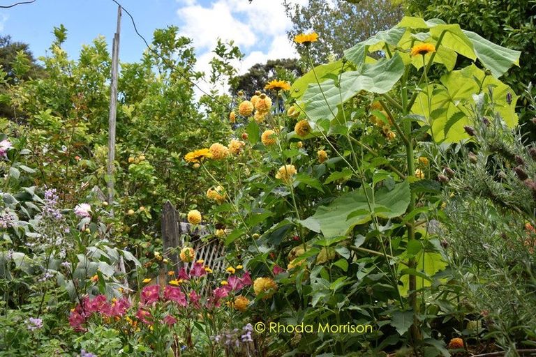 Photo of property in 330 Franklin Road, Paparoa, 0571