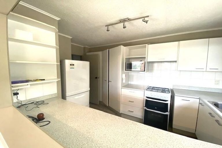 Photo of property in 2u1 Brooklyn Terrace, Brooklyn, Wellington, 6021
