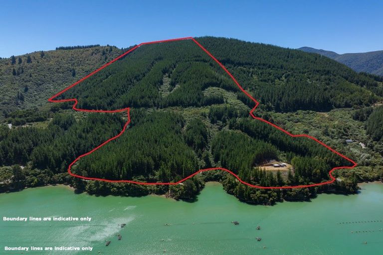 Photo of property in 4954 Kenepuru Road, Ohauparuparu Bay, Marlborough Sounds, 7282