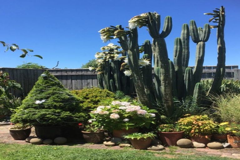 Photo of property in 214 Te Awa Avenue, Awatoto, Napier, 4110