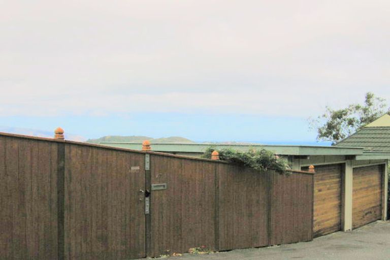 Photo of property in 17 Fortunatus Street, Brooklyn, Wellington, 6021