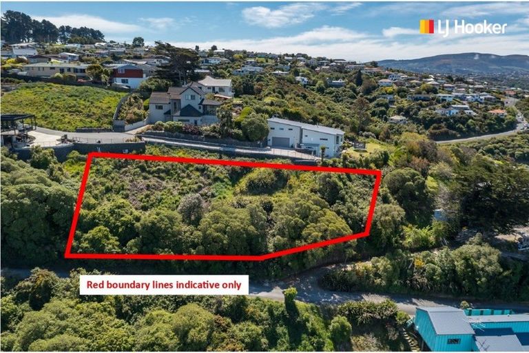 Photo of property in 2l Clayton Street, Saint Clair, Dunedin, 9012