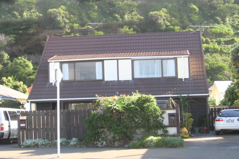 Photo of property in 236b Queens Drive, Lyall Bay, Wellington, 6022