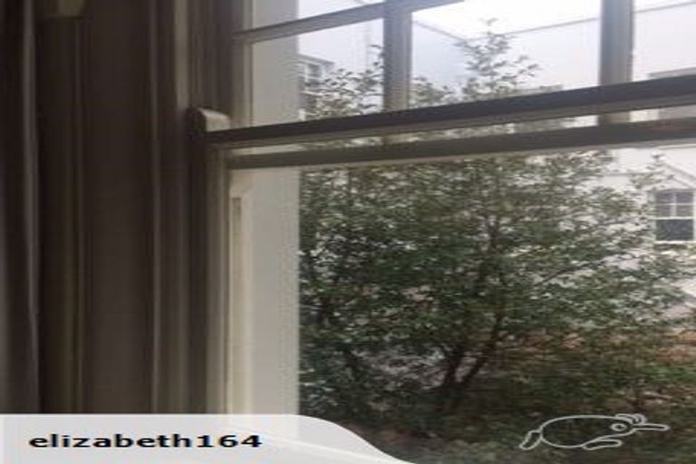 Photo of property in Blythswood Flats, 3f7 Aro Street, Aro Valley, Wellington, 6021