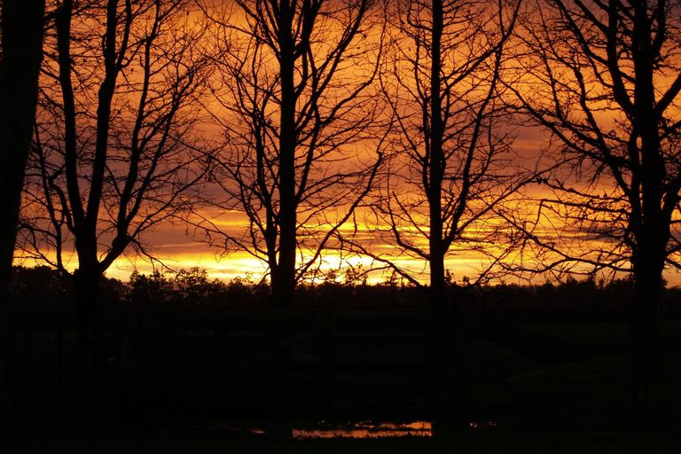 Photo of property in 64 Peacockes Lane, Peacocke, Hamilton, 3282