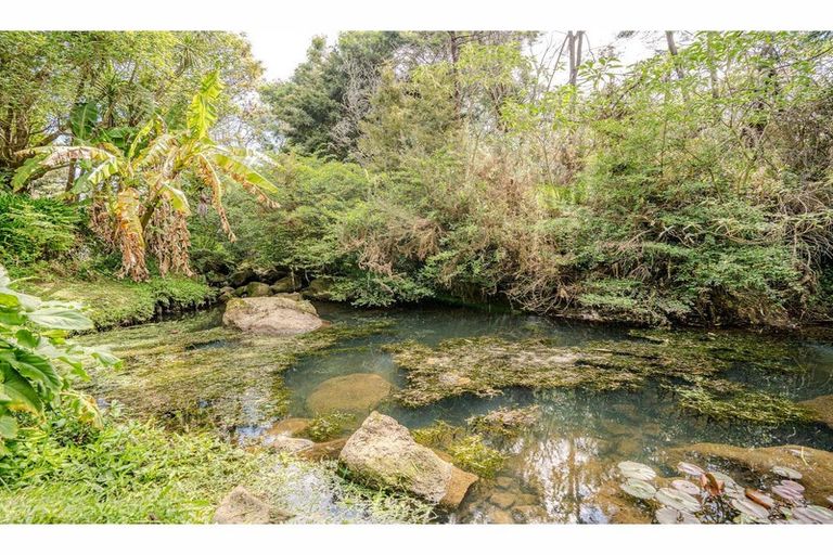 Photo of property in 299 Waipapa Road, Waipapa, 0230