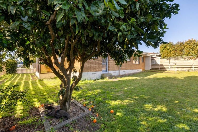 Photo of property in 10a Linklater Avenue, Bellevue, Tauranga, 3110
