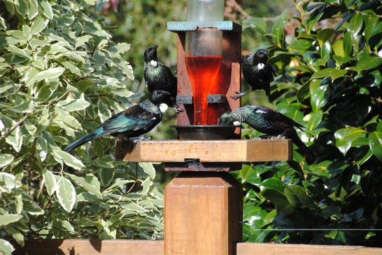 Photo of property in 94 Maui Pomare Road, Nikau Valley, Paraparaumu, 5032