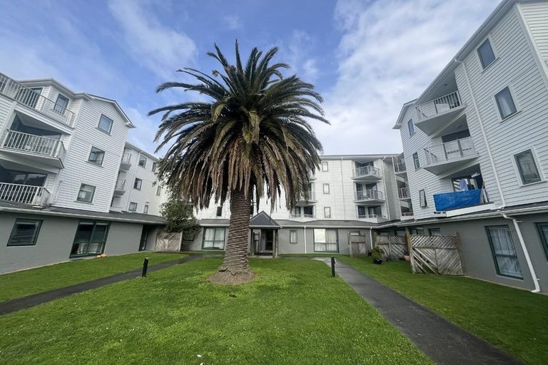 Photo of property in Palm Grove Apartments, 6/13b Palm Grove, Berhampore, Wellington, 6023