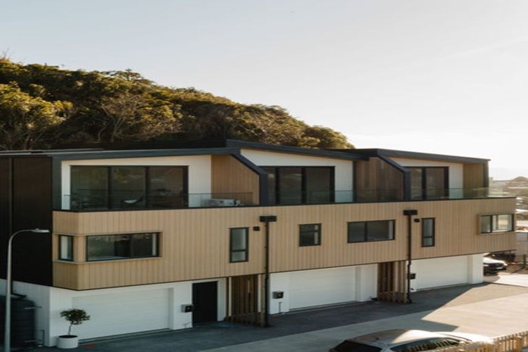 Photo of property in 119 Tiketike Way, Brooklyn, Wellington, 6021