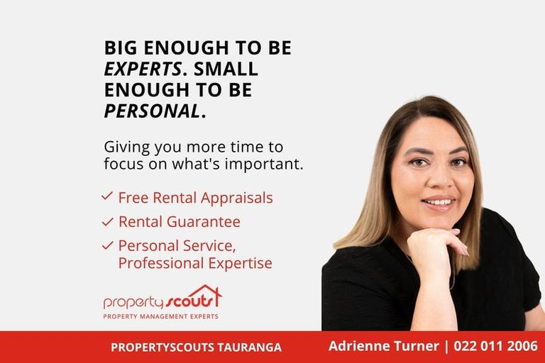 Photo of property in 46 Cook Street, Gate Pa, Tauranga, 3112