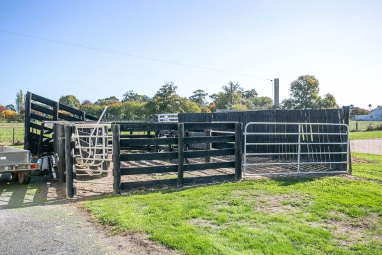 Photo of property in 273 Kaipaki Road, Ohaupo, 3881