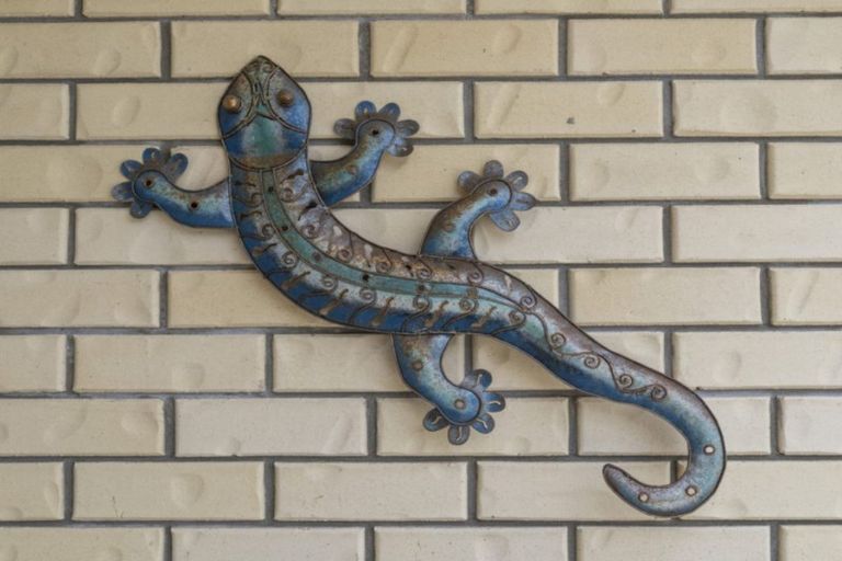 Photo of property in 6 Christopher Lane, Warkworth, 0910