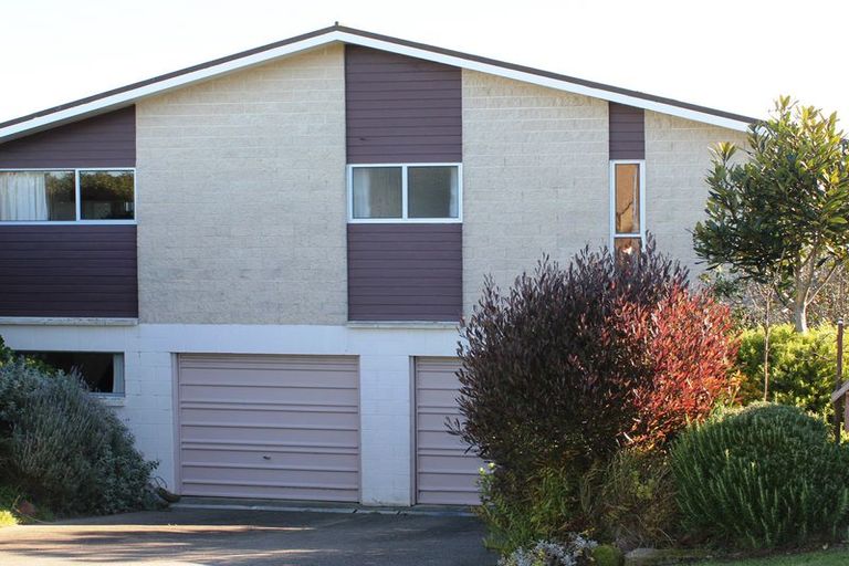 Photo of property in 46 Brinkburn Street, South Hill, Oamaru, 9400