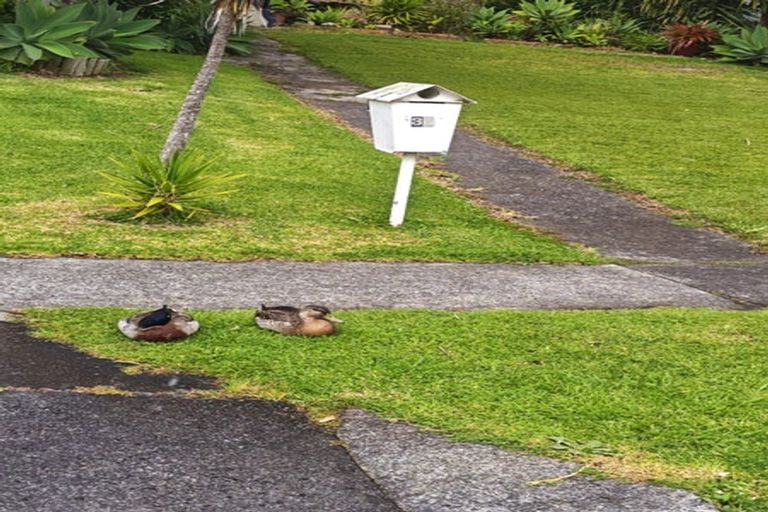 Photo of property in 38 Cutler Street, New Lynn, Auckland, 0600