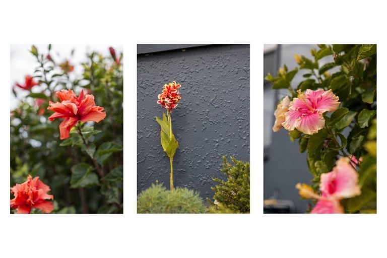 Photo of property in 26 Wickham Place, Hairini, Tauranga, 3112