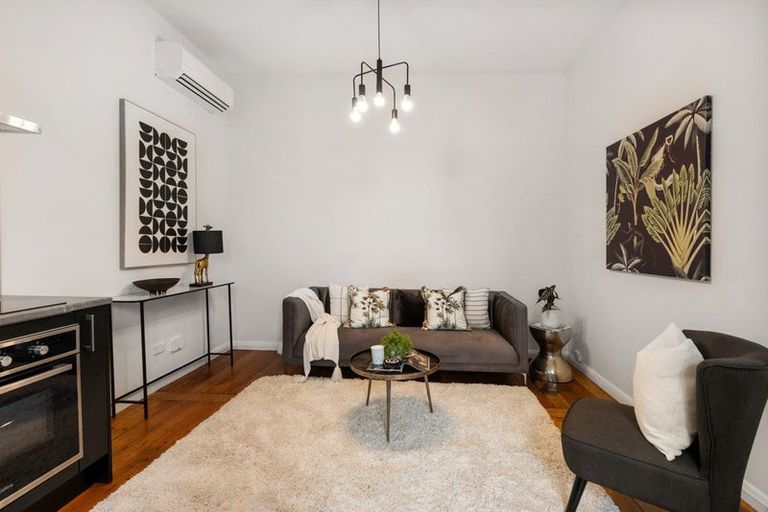 Photo of property in 213 Aro Street, Aro Valley, Wellington, 6021