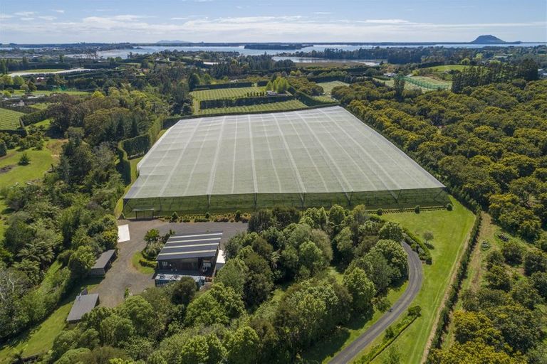 Photo of property in 56d Plummers Point Road, Whakamarama, 3172