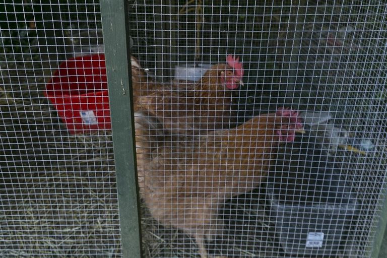 Photo of property in 21 Lynda Avenue, Paparangi, Wellington, 6037