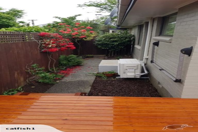 Photo of property in 8 Kinleys Lane, St Albans, Christchurch, 8014