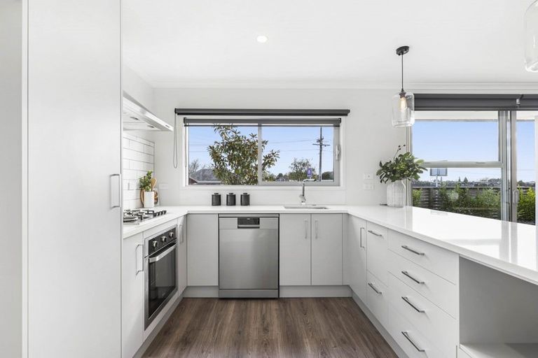 Photo of property in 22u1 Thomson Avenue, Dinsdale, Hamilton, 3204